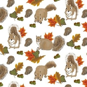 Playful Autumn Squirrels on  white