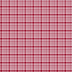 Country Christmas red plaid 2x2