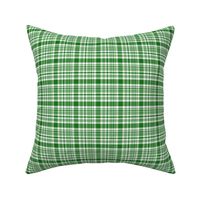 Country Christmas green plaid 2x2