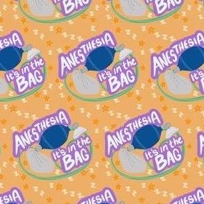 Anesthesia Bag