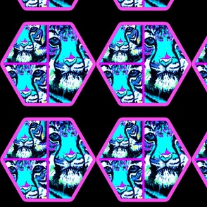 Turquoise tiger collage of 3 with hexagon/fuchsia outline on black