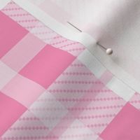 Bigger Scale Pink and White Plaid