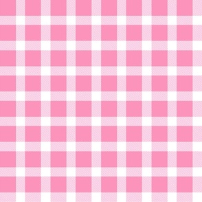 Bigger Scale Pink and White Plaid Gingham