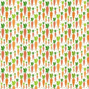 Small Scale Orange Farm Fresh Carrots on White