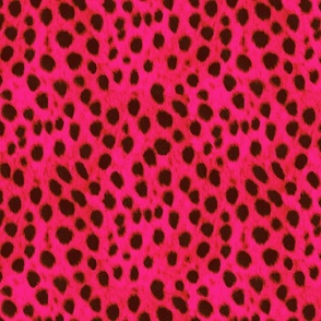 cheetah fur pink