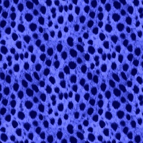 cheetah fur blue