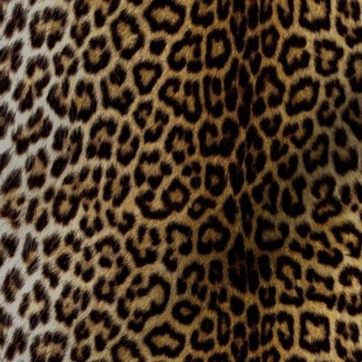 Realistic Brown Animal Print Fabric | Spoonflower