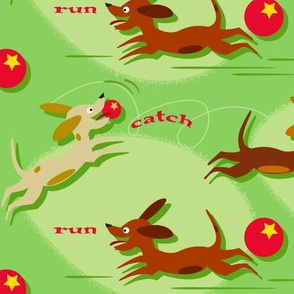 Run, Catch and Fetch (on green) 