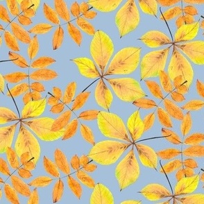 handdrawn autumn leaves - sky blue
