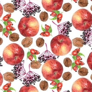 handdrawn autumn fruits - white