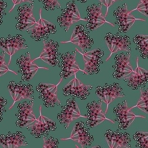 handdrawn elderberries on pine green