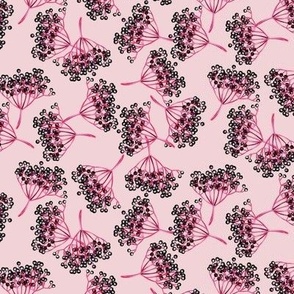 handdrawn elderberries on cotton candy background