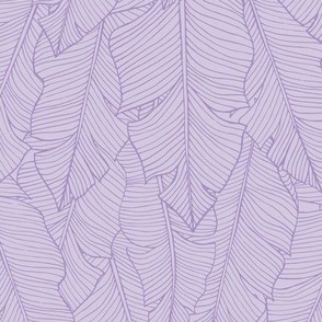 Banana Leaves - Lavender