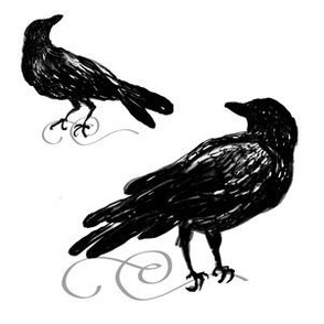 Big Raven Small Raven