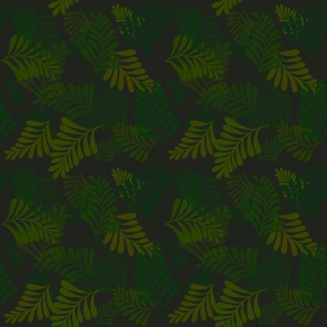 Dark Forest Ferns