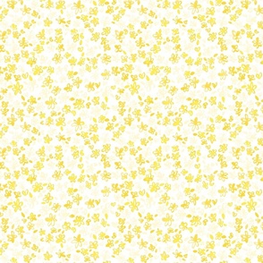 fresh-blooming-yellow