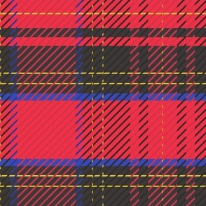 Graphic Tartan (medium) -Royal Stewart Bright Red, Black, Blue and Yellow 