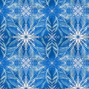 Snowflakes and Ice