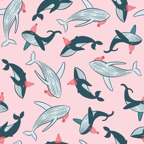 Humpback whale with wool caps in pink background