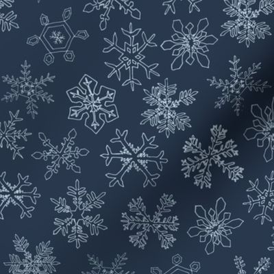 Snowflakes Fog on Navy