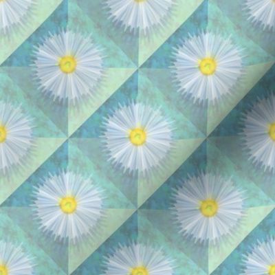 diagonal_diaphanous_daisies