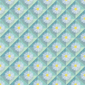 diagonal_diaphanous_daisies