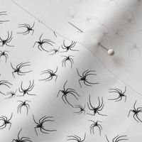 Tiny Black Spiders