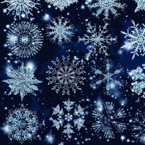 Snowflakes and the Stars by kedoki