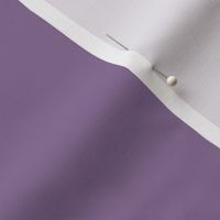 Mid-tone Purple Solid Color Coordinates w/ 2022 Spring/Summer Trending Hue by Coloro Lavender Silk 138-48-19