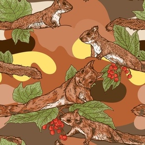 Red Squirrels and Cranberry Bushes