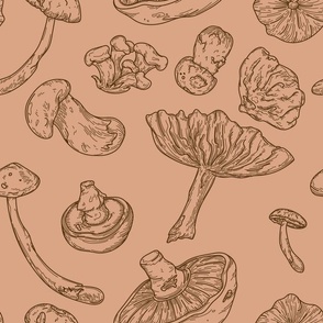 Vintage Retro Line Art Mushrooms