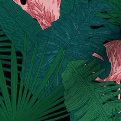 Pink Flamingos in a Tropical Jungle on Black