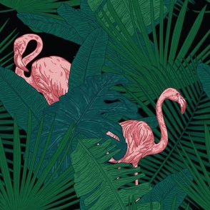 Pink Flamingos in a Tropical Jungle on Black