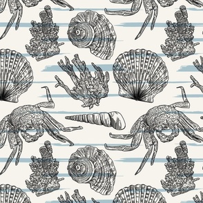 Nautical Pattern on stripes with Coral, Crabs, and Shells