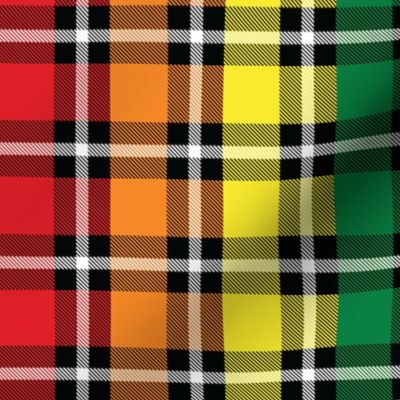 1 1/4" Rainbow Plaid - Medium (Rainbow Collection)