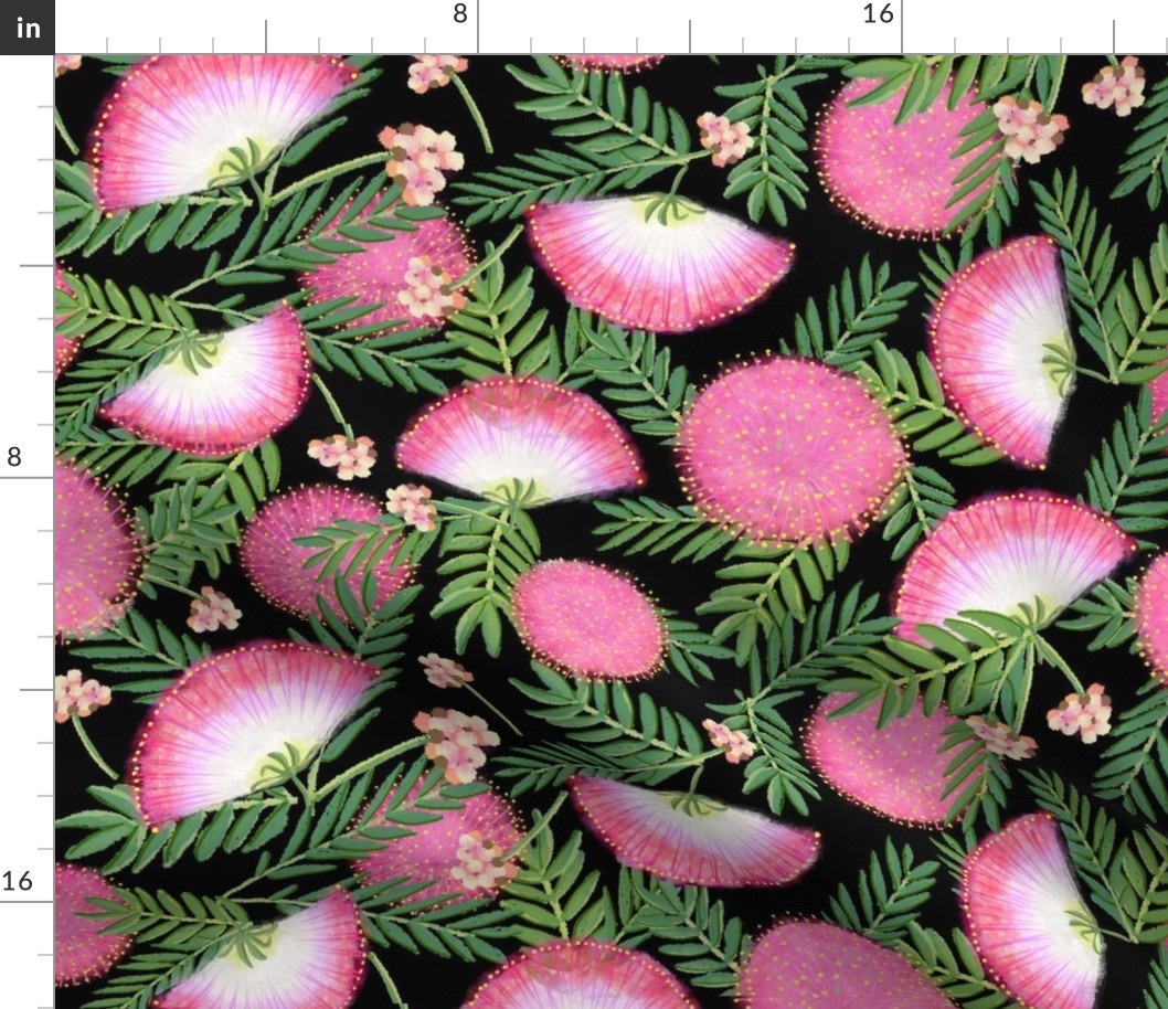Pink Mimosa Scattered Floral on Black Lg. Scale