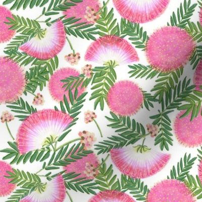 Pink Mimosa Scattered Floral on White Medium Scale