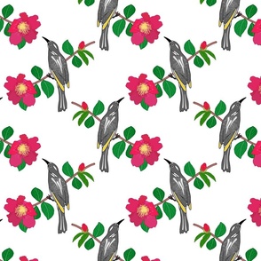 Camellia & Honeyeater Chinoiserie - white, medium to large 