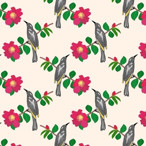 Camellia & Honeyeater Chinoiserie - blush cream, medium to large 