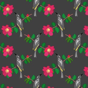 Camellia & Honeyeater Chinoiserie - charcoal grey, medium to large 