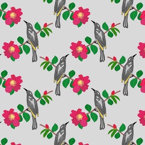 Camellia & Honeyeater Chinoiserie - silver grey, medium to large 