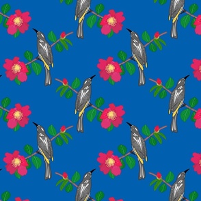 Camellia & Honeyeater Chinoiserie - ocean blue, medium to large 