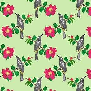 Camellia & Honeyeater Chinoiserie - mint green, medium to large 