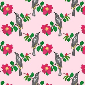 Camellia & Honeyeater Chinoiserie - blush pink, medium to large 