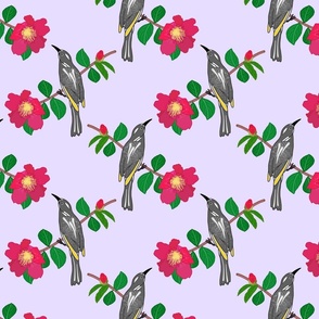 Camellia & Honeyeater Chinoiserie - soft lilac, medium to large 