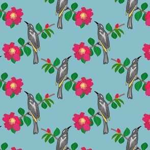 Camellia & Honeyeater Chinoiserie - steel blue, medium to large 