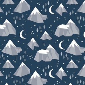 Winter wonderland snowy mountains and fine trees canada winter landscape in cool gray on navy blue night