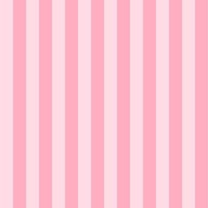 Blush Pink and Bubblegum Pink Vertical Stripe