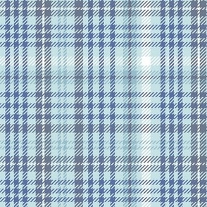 blue plaid - small scale