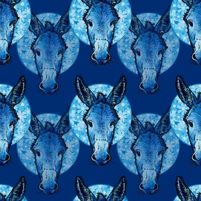 Island of the Blue Donkeys on Royal Blue
